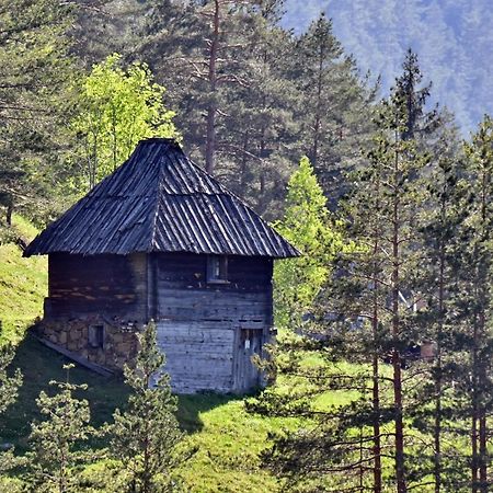 Ferienwohnung Sedmica Zlatibor Vip Bogic Exterior foto