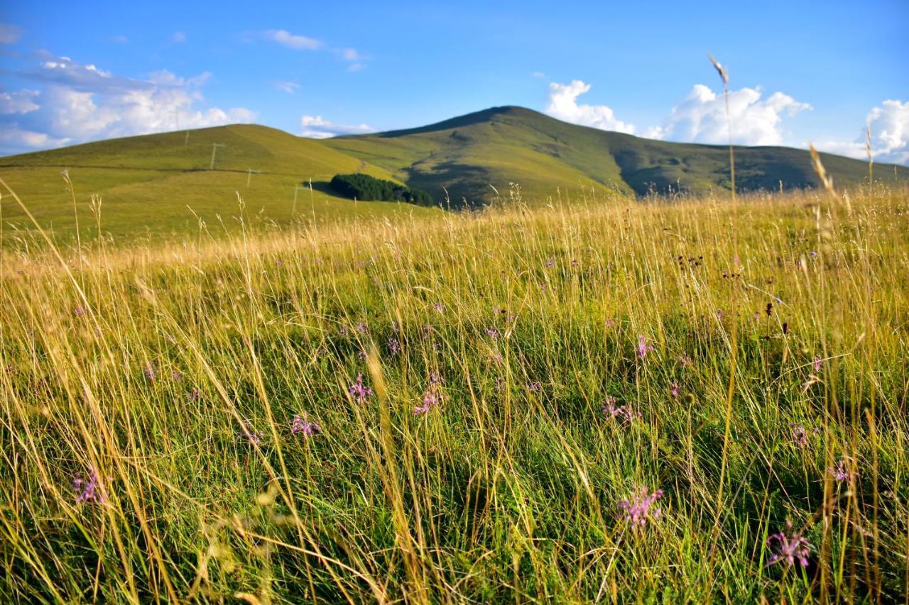 Ferienwohnung Sedmica Zlatibor Vip Bogic Exterior foto