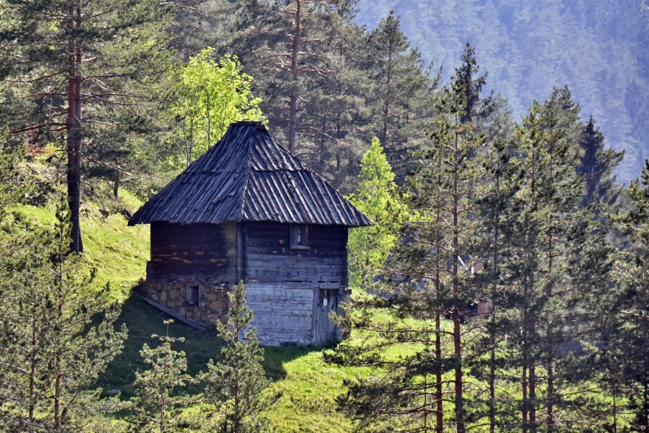 Ferienwohnung Sedmica Zlatibor Vip Bogic Exterior foto