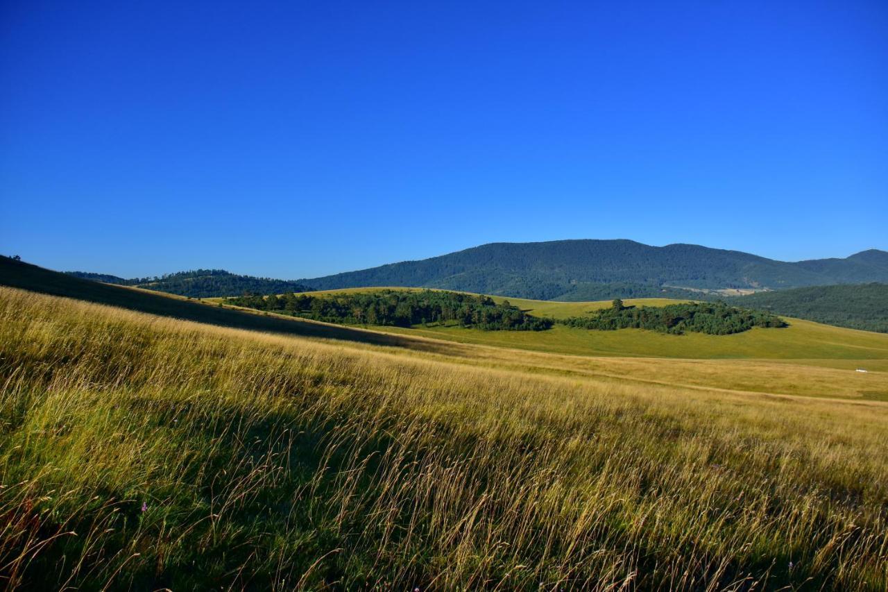 Ferienwohnung Sedmica Zlatibor Vip Bogic Exterior foto